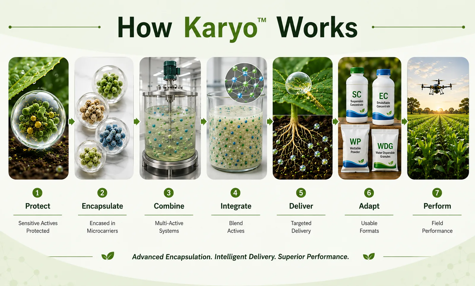 Karyo encapsulation and active protection architecture diagram